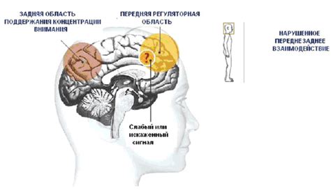 Признаки внимания и интереса