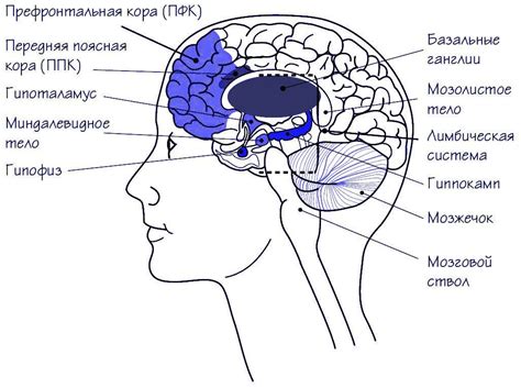 Признаки головы в различных ситуациях
