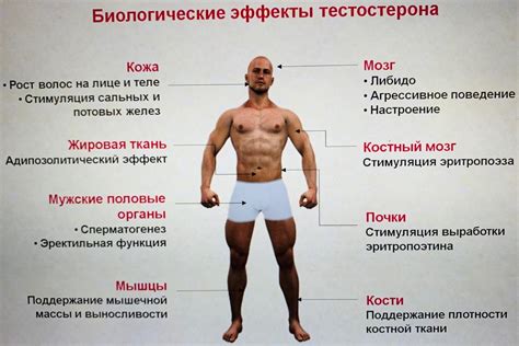 Признаки нормального движения