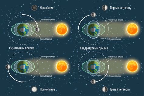 Приливы и отливы: фундаментальная основа