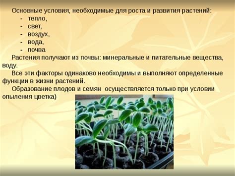 Применение в определенные сроки роста и развития