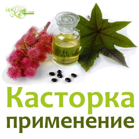 Применение касторового масла в медицинских целях
