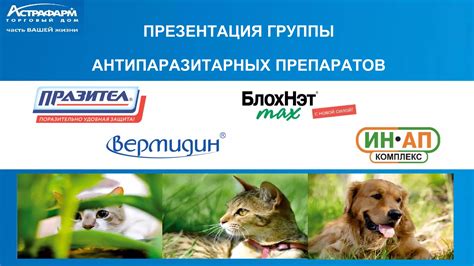 Применение специальных антипаразитарных препаратов