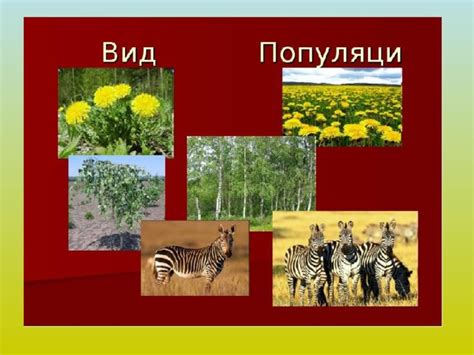 Примеры каннибализма в животном мире