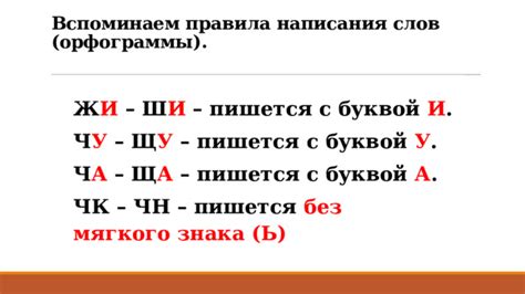 Примеры правильного написания слов с буквой "и" после ж и ш