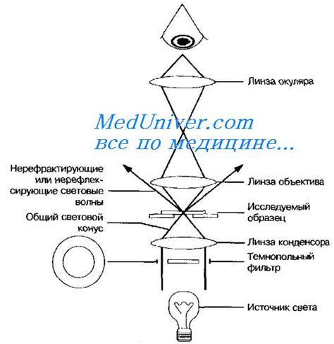 Принцип работы научной темнопольной микроскопии