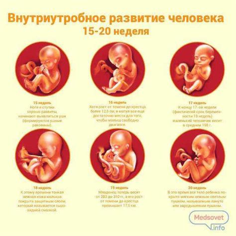 Природа движений плода в утробе