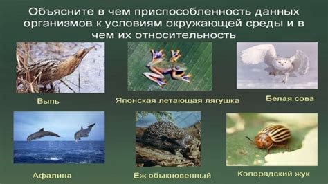 Приспособление к среде обитания