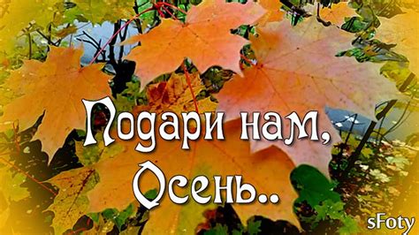 Приход весёлых и ясных дней