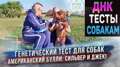 Причина №8: Генетические особенности породы