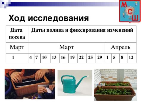 Причины важности знания последней даты полива растения