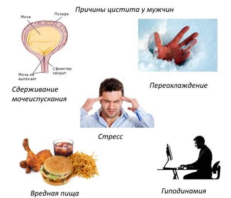 Причины возникновения второй молодости у мужчин