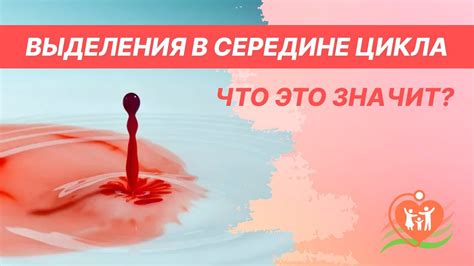 Причины выпуска крови при овуляции