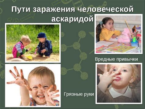 Причины глистной инвазии