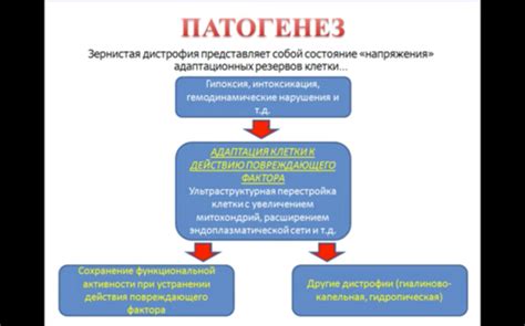 Причины и механизм цветения