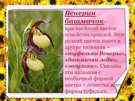 Причины и последствия включения раков в красную книгу