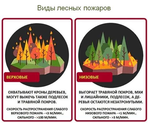 Причины и факторы, влияющие на время нереста кижуча