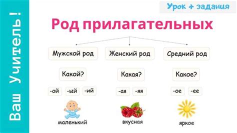Причины определения рода у глагола
