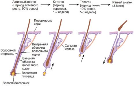 Причины появления вросших волос