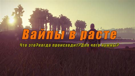Причины проведения вайпа на серверах Мэджик Раст
