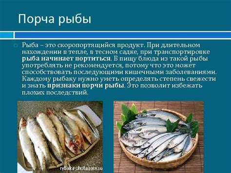 Причины скатывания рыбы