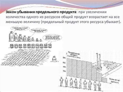 Причины убывания предельного продукта труда