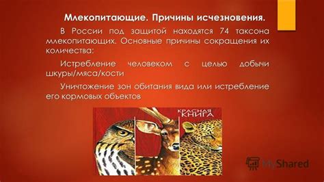 Причины угрозы исчезновения беркута