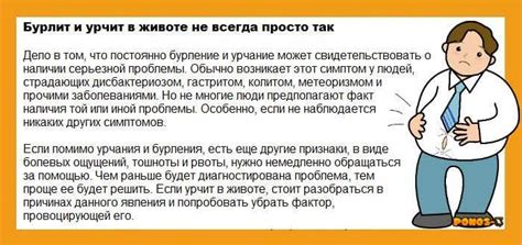 Причины урчания в животе на уроке