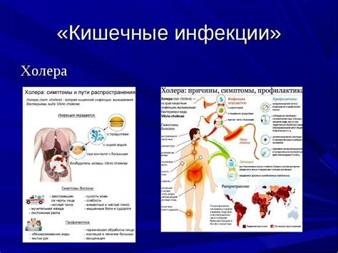 Причины эпидемии заболеваний