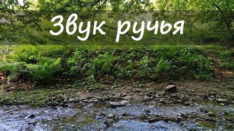 Приятный звук: воплощение момента