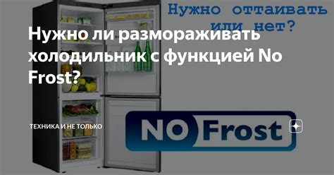 Проблемы, которые могут возникнуть, если не размораживать холодильники No Frost