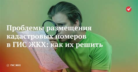 Проблемы и недостатки кадастровых номеров