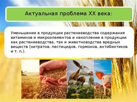 Проблемы и риски смешанного питания