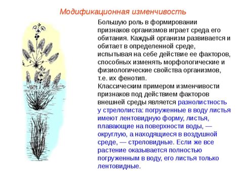 Пробуждение растительности