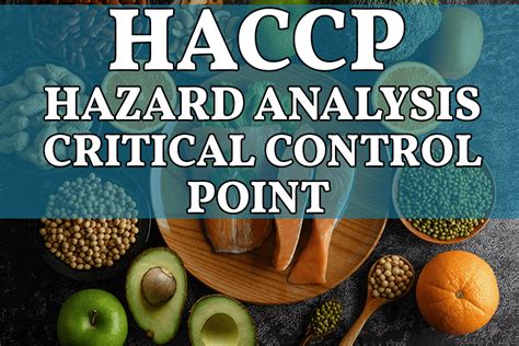 Проведение анализа рисков и аудита HACCP