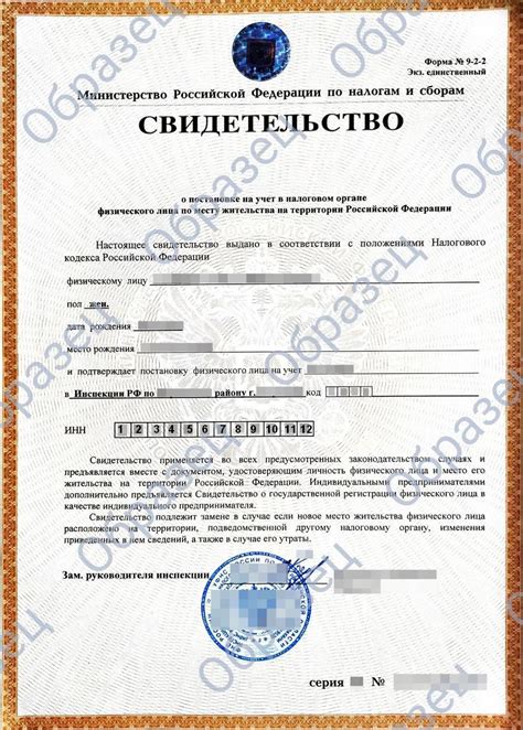 Проверка ИНН физического лица по базам данных: правдивая информация