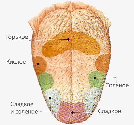 Проверка на вкус