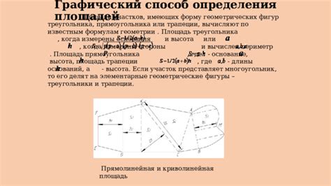 Программный способ определения размеров прямоугольника