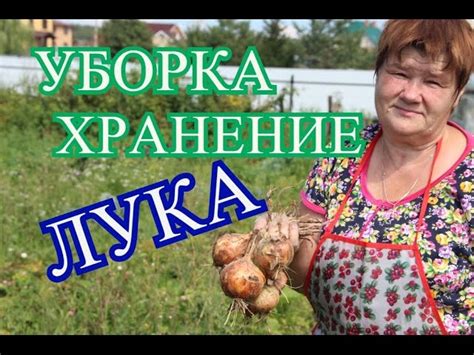 Продление срока хранения лука в холодильнике