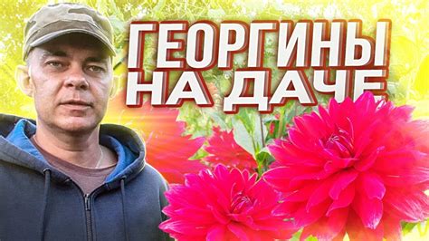 Продление срока цветения