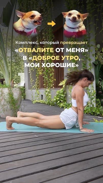 Продолжай свой день с энергией