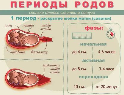 Продолжительность периода перед посадкой