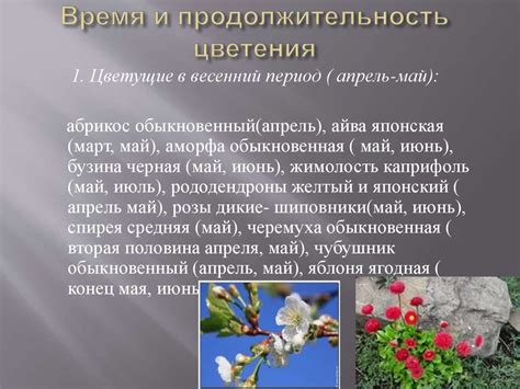 Продолжительность цветения и стойкость