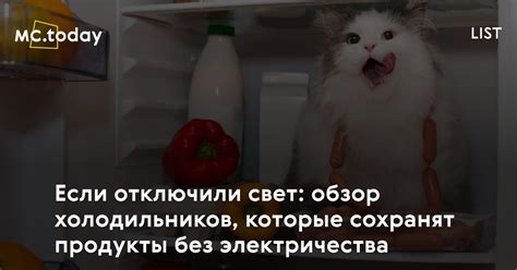 Продукты, которые сохраняются без электричества