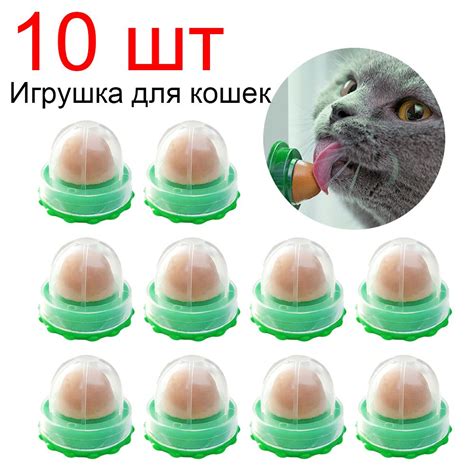 Продукты с кошачьей мятой для котов