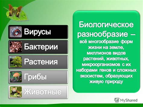 Происхождение видов и генетическое разнообразие