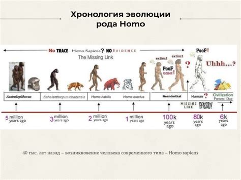 Происхождение и возникновение рода Homo