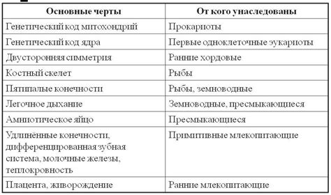 Промежуточные виды: ключевые открытия и сходства с человеком