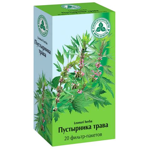 Противопоказания: когда нельзя принимать пустырник