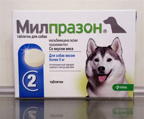 Противопоказания для использования эспумизана у собак